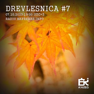Drevlesnica
