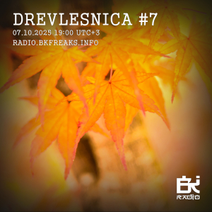Drevlesnica