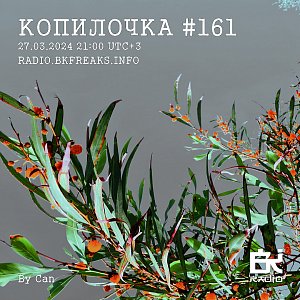 Копилочка