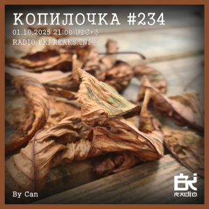 Копилочка